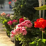 Hotel Artunc Bodrum