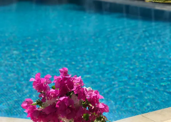 Artunc Bodrum
