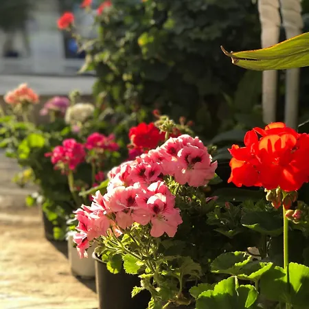 Hotel Artunc Bodrum