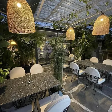 阿屯博德鲁姆酒店 酒店