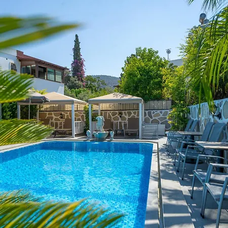 阿屯博德鲁姆酒店 酒店