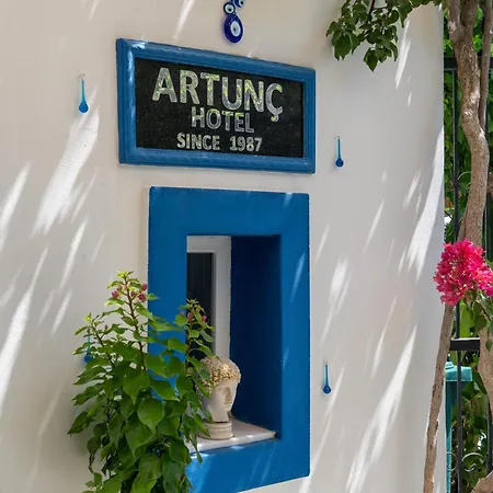 Hotel Artunc