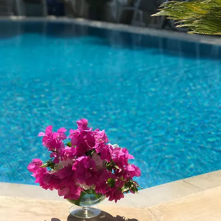 阿屯博德鲁姆酒店 博德鲁姆