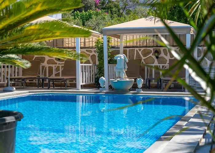 أرتونك فندق